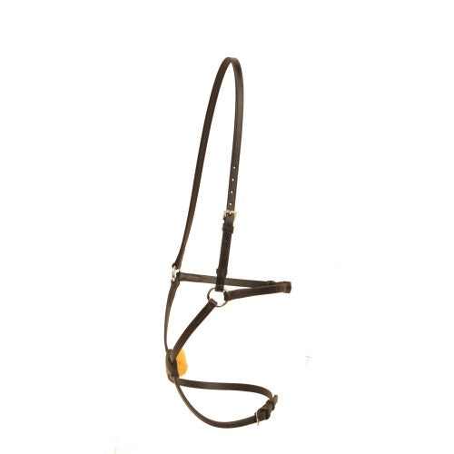 Tory figure 8 noseband