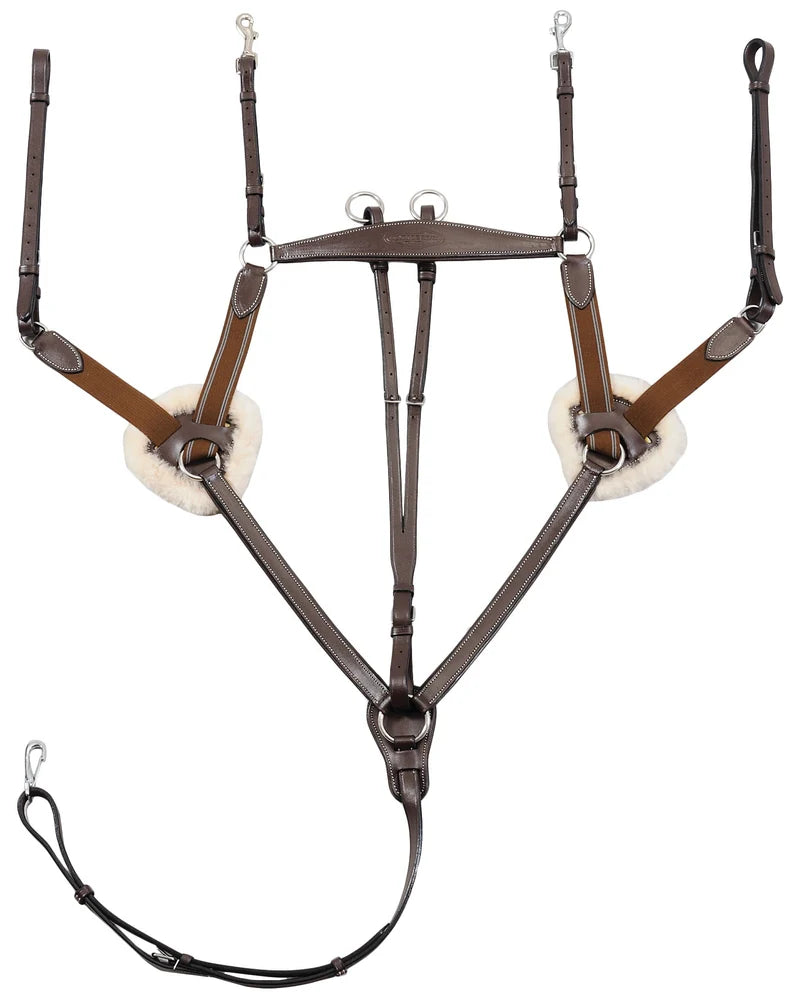 HDR Pro 5-point breastplate