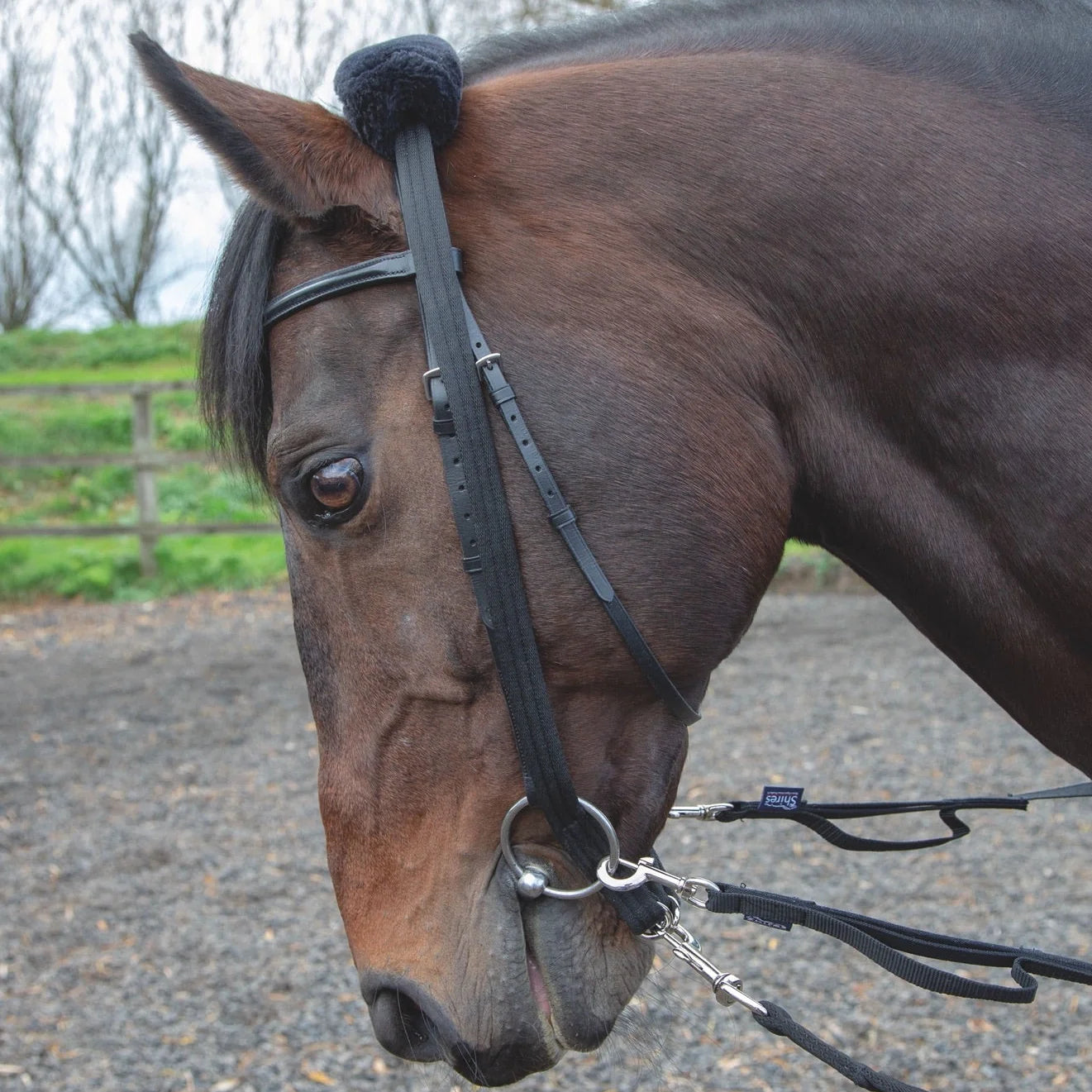 Shires lunging adaptor