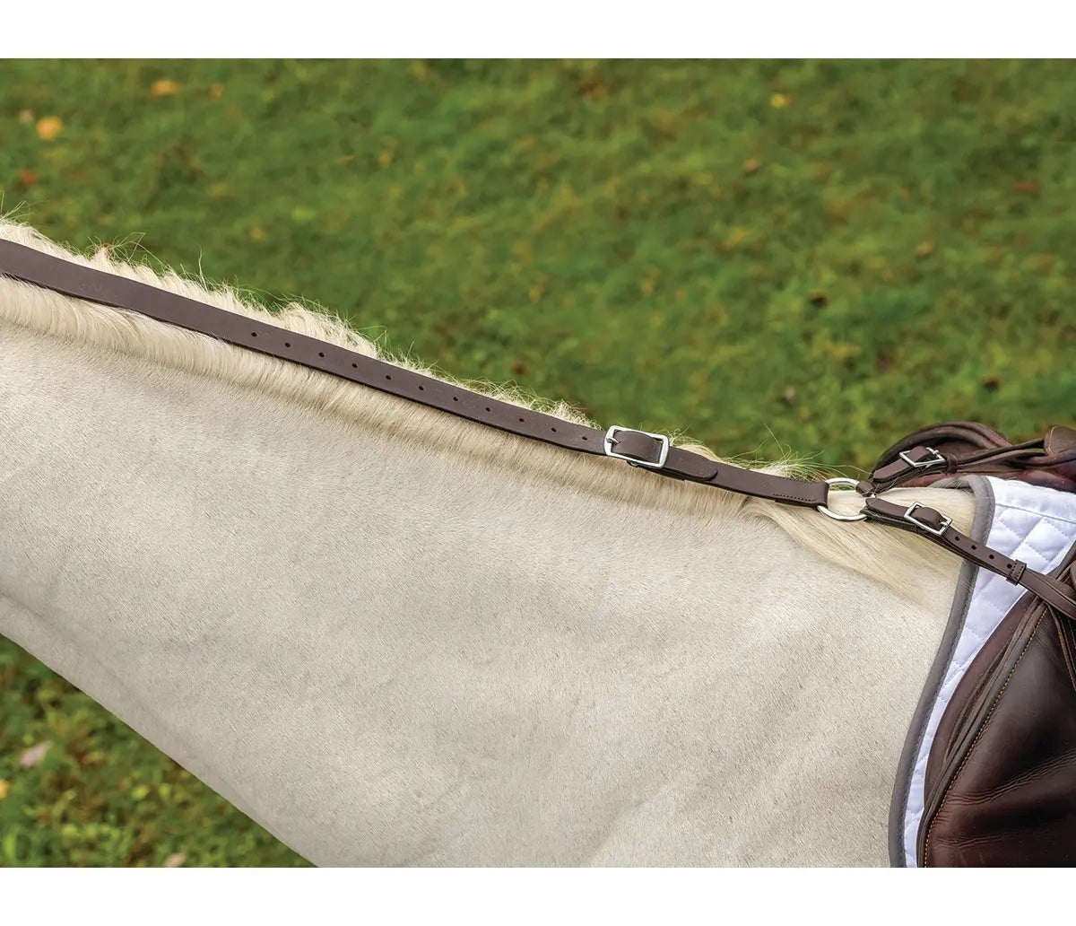 Avignon pony daisy rein