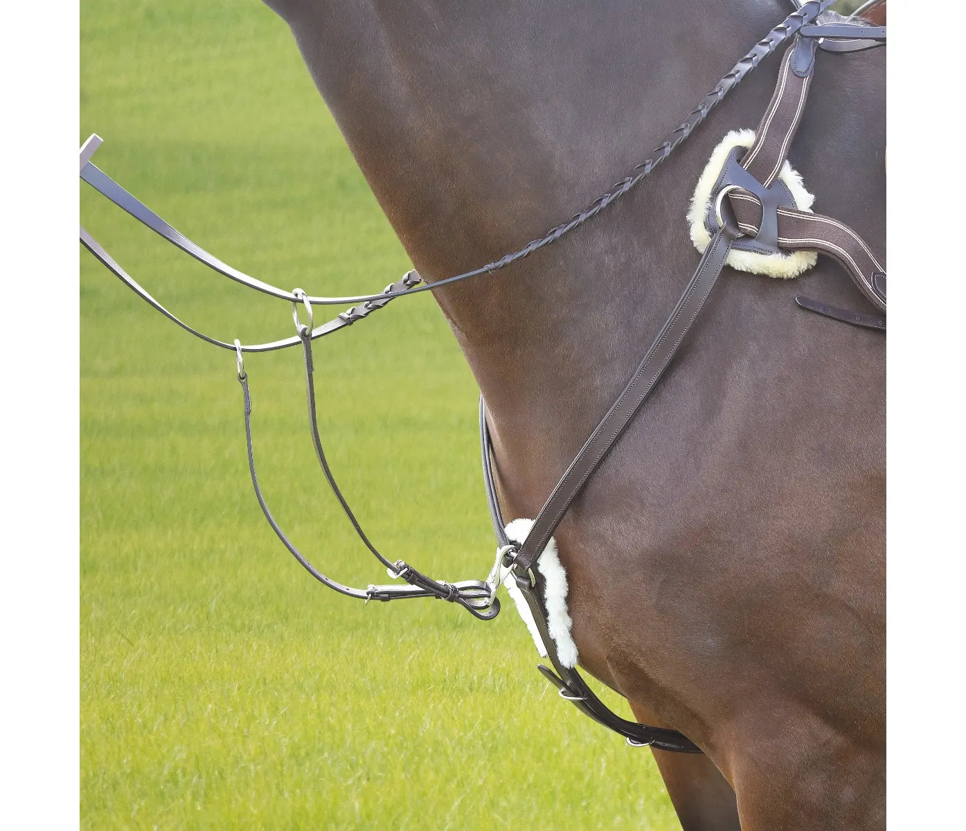 Avignon 5-point breastplate