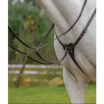 Avignon 3-point breastplate