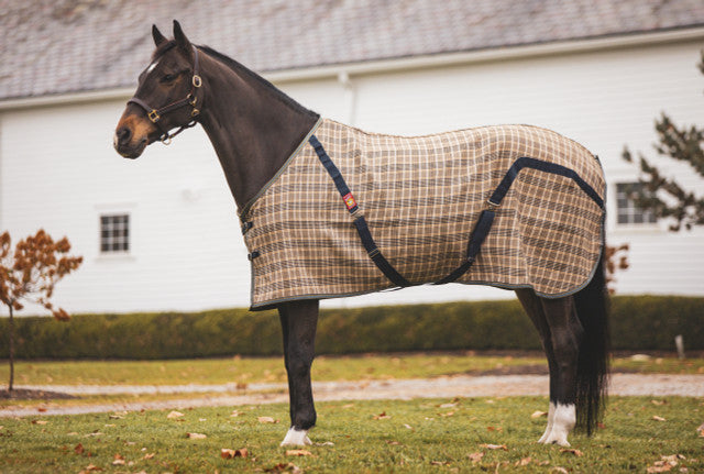 Baker original blanket mini to draft