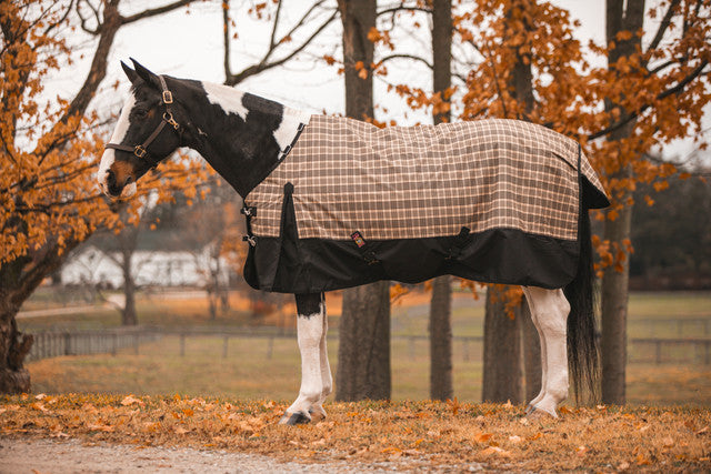 Baker Black Label turnout heavyweight blanket