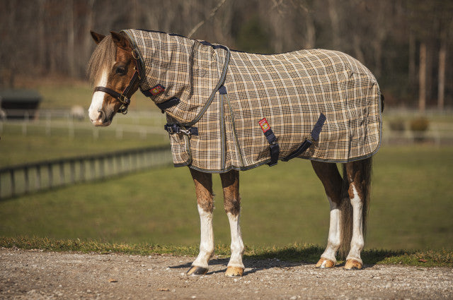 Baker fly sheet pony to warmblood