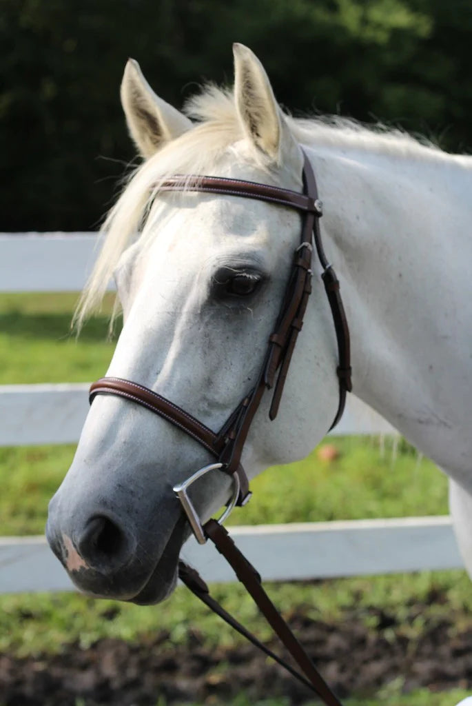 HDR Advantage plain raised bridle