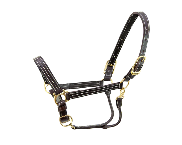 Walsh Kentucky halter