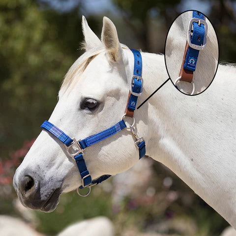 Kensington premium nylon breakaway halter