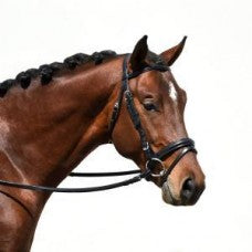 Bobby's 2933 dressage bridle