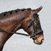 Bobby's 2950 dressage bridle