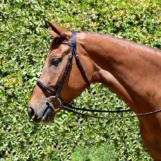 Bobby's 4105 plain raised hunter bridle