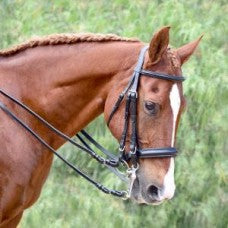 Bobby's 950 padded weymouth