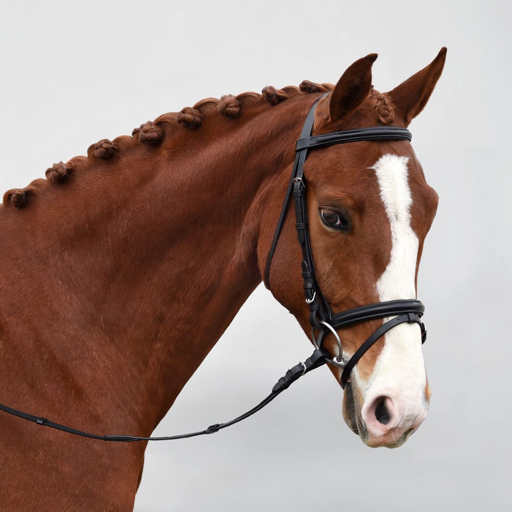 Bobby's 4924 Fairhaven flash bridle