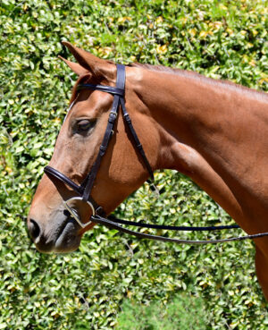 Bobby's 4101 Fairhaven hunter bridle