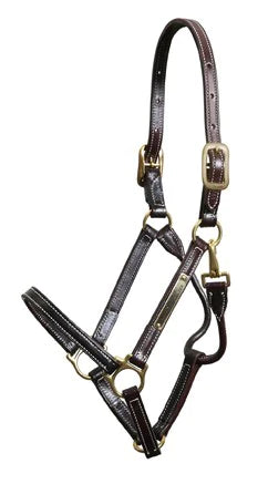 Walsh Showman halter