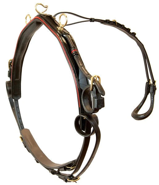Walsh Platinum Performance Roadster harness