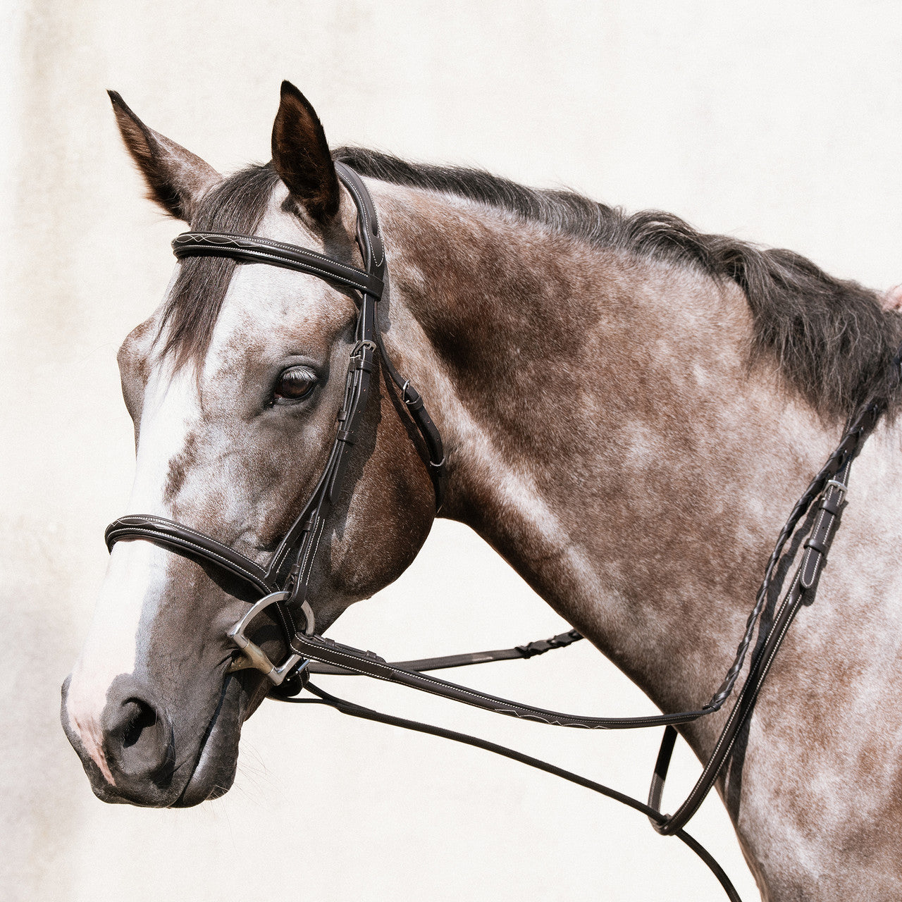 Nunn Finer Elena bridle