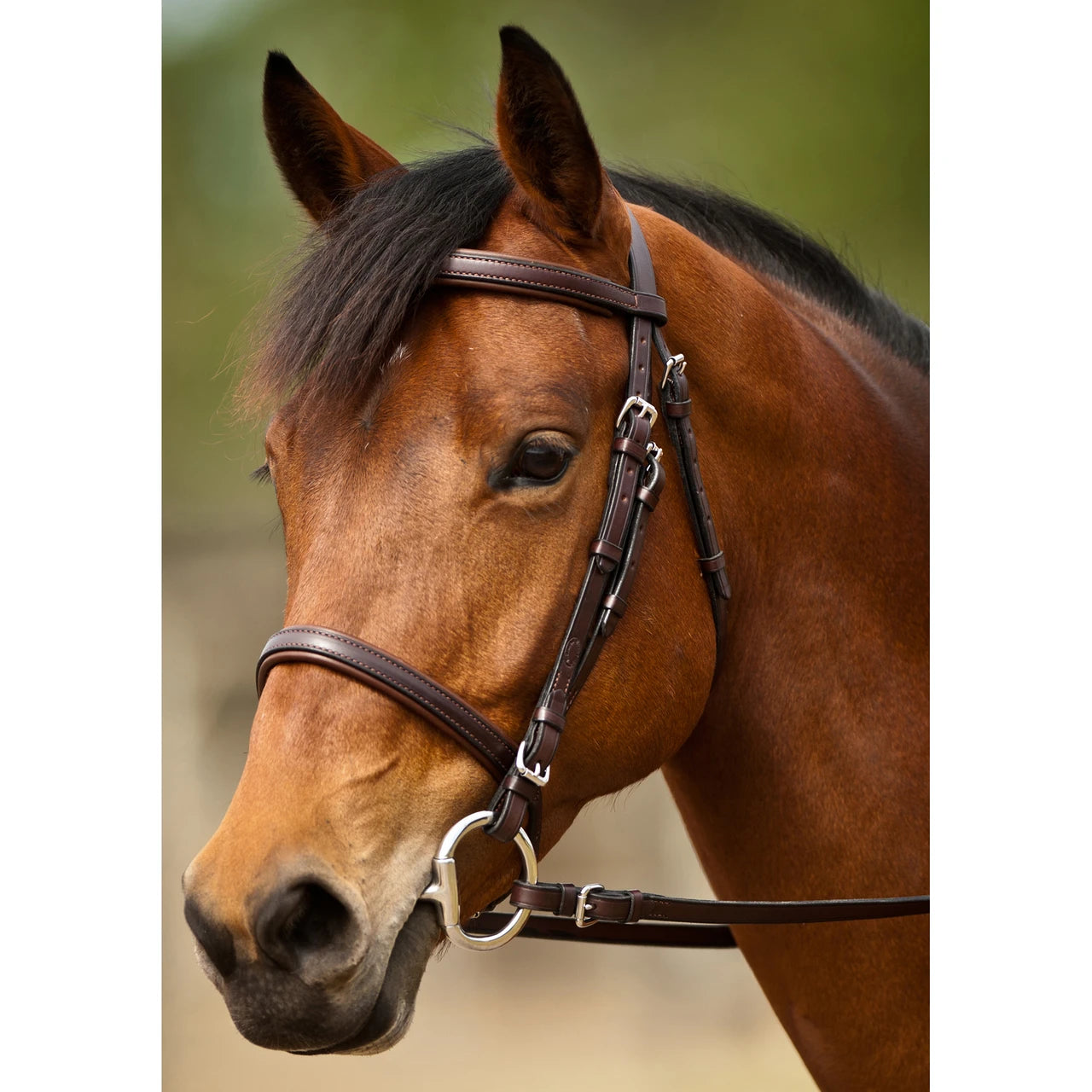 Nunn Finer Event bridle