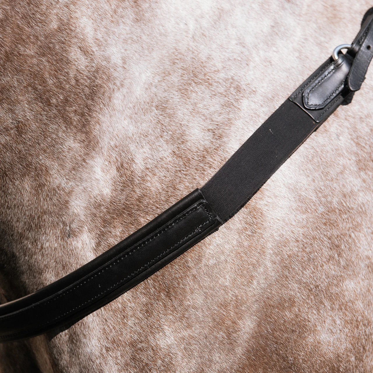 Nunn Finer jumping breastplate