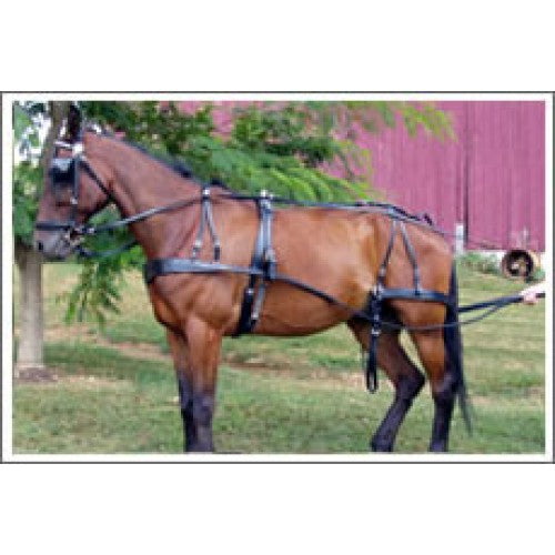 Pleasure driving harness