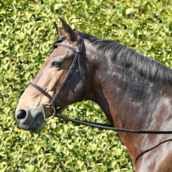 Bobby's 161 braided front bridle