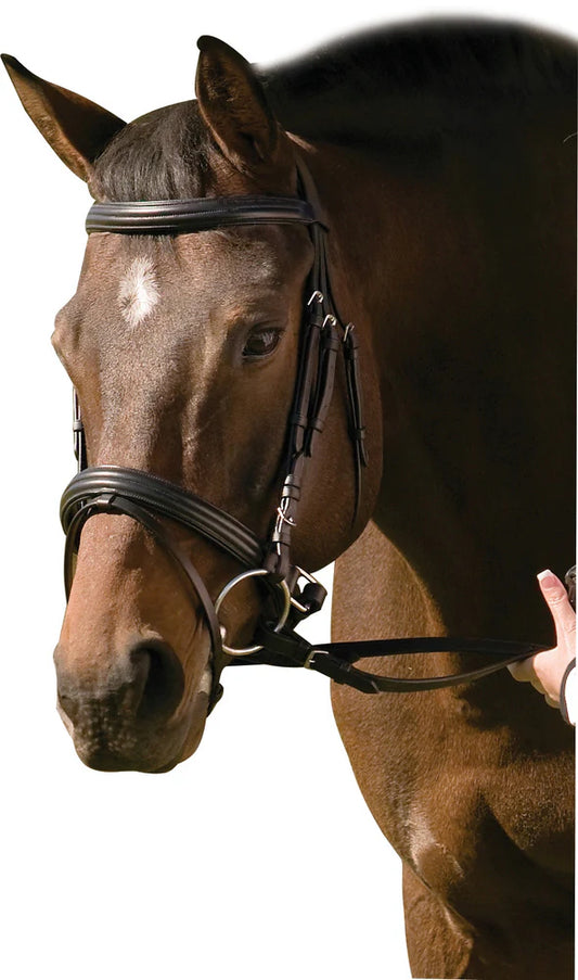HDR Pro mono crown padded crank-nose bridle