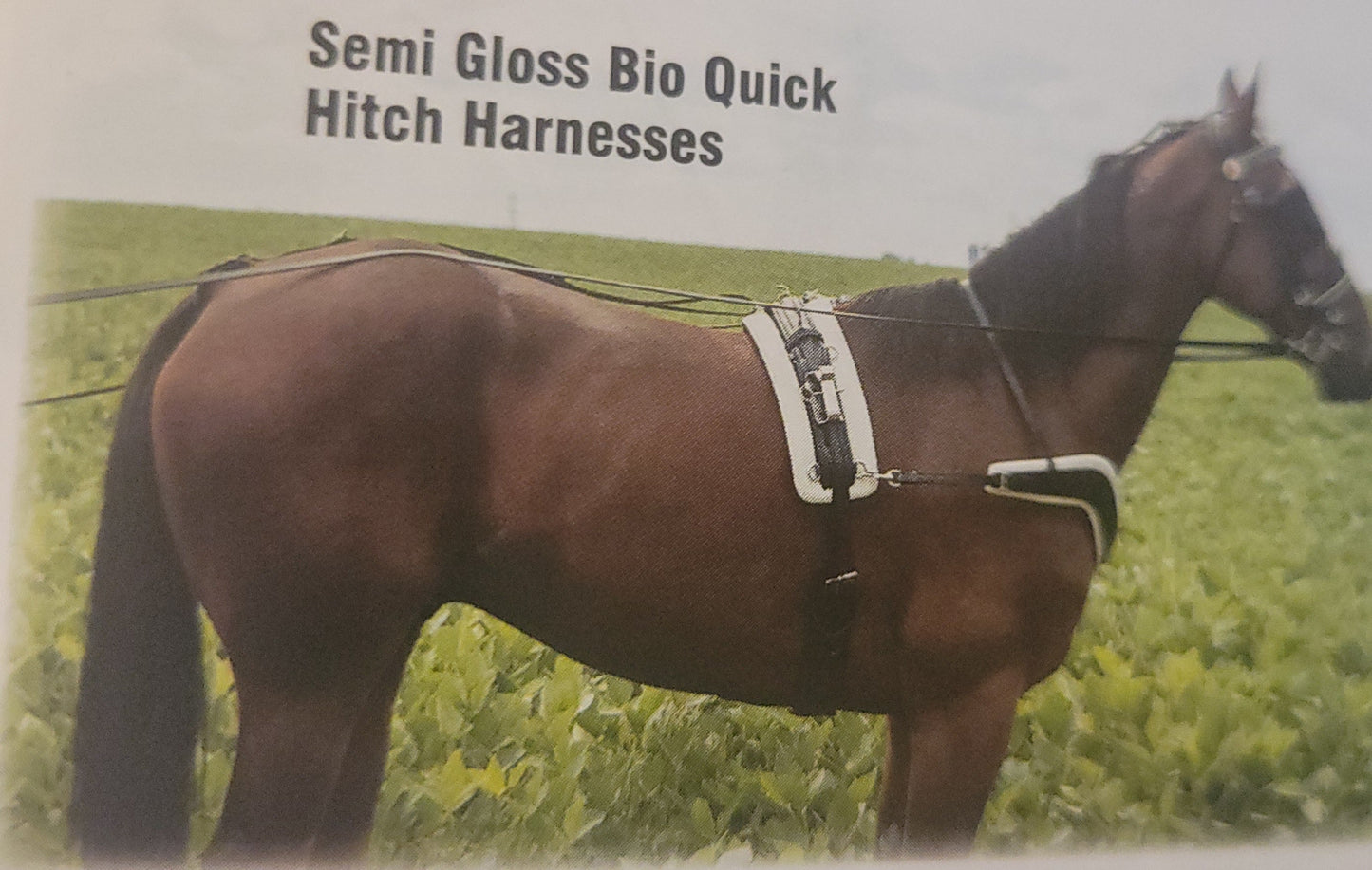 Amish made quick-hitch training harness