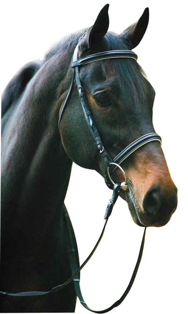 HDR Pro padded dressage bridle