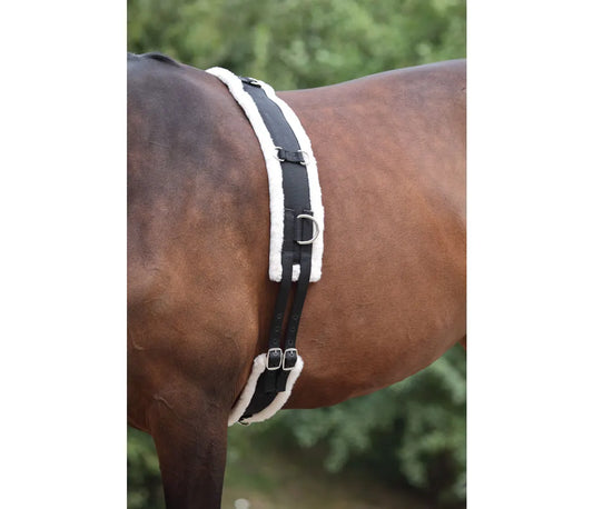 Shires training surcingle