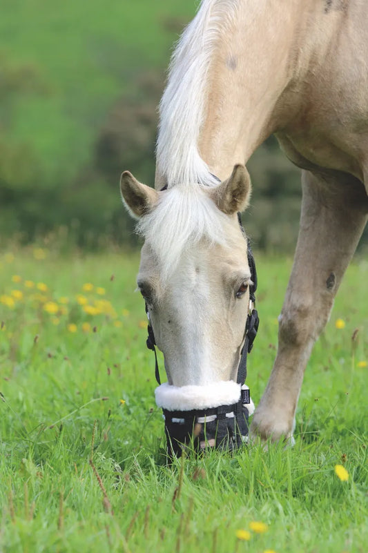 Shires deluxe comfort grazing muzzle