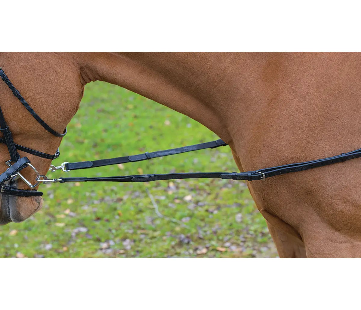 Avignon side reins – Griffinbrook.com