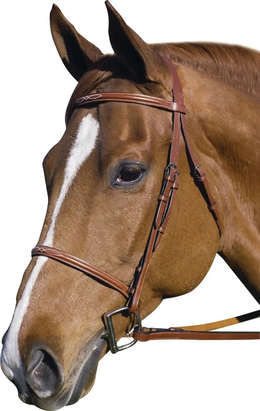 HDR Pro fancy-stitched raised bridle