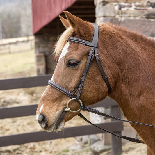 HDR Pro mono crown hunter bridle