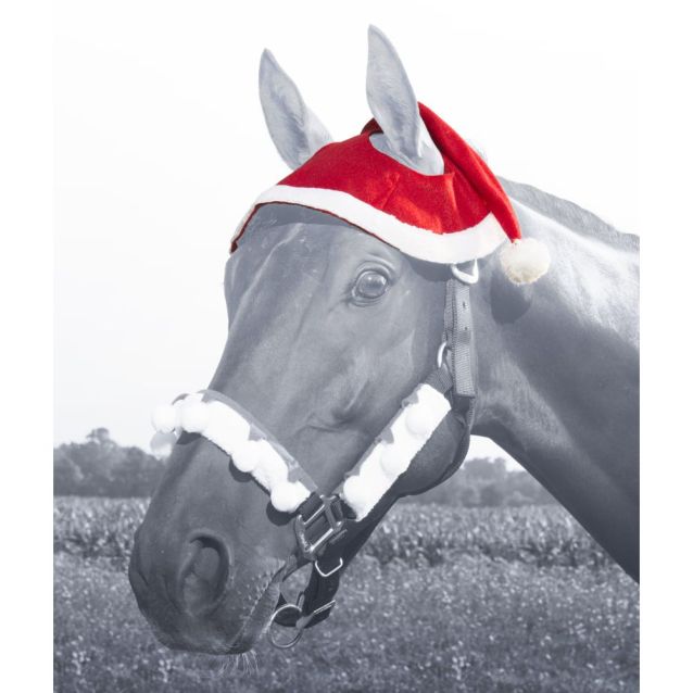 Jolly Santa hat for horses