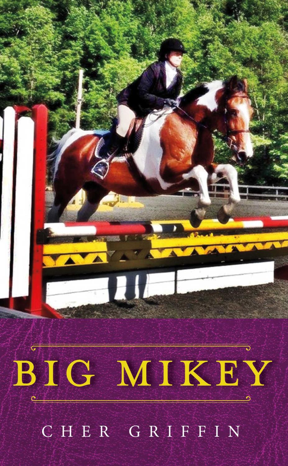 Big Mikey - mystery book with horses