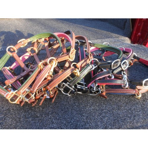Griffinbrook padded leather mini/pony halter in havana with brass hardware