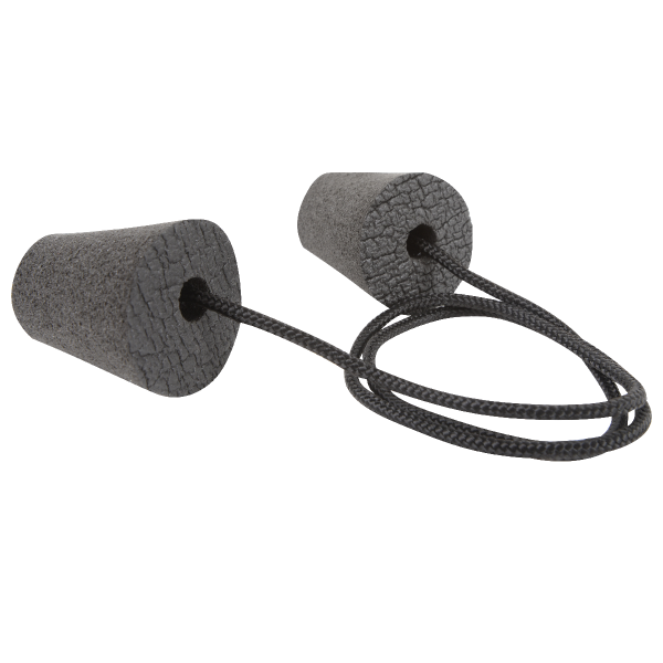 Cashel ear plugs