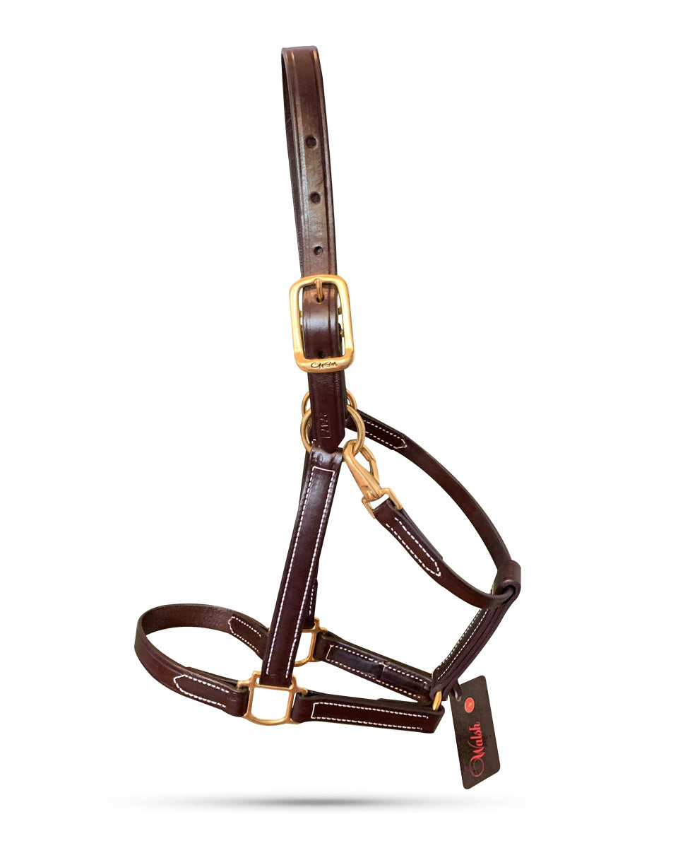 Walsh Heritage halter – Griffinbrook.com