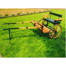 Easy Entry cart with arm rests