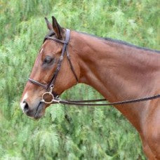 Bobby's 149 snap-end bridle