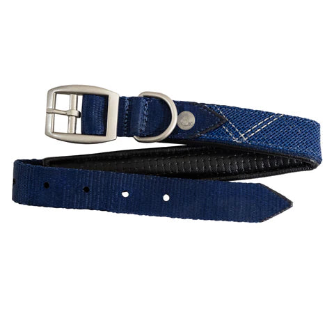 Kensington padded dog collar