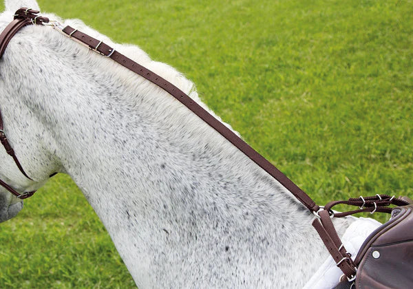Shires nylon pony daisy rein