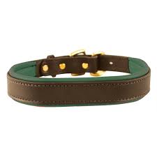 Padded dog collar with name plate for M and L dogs