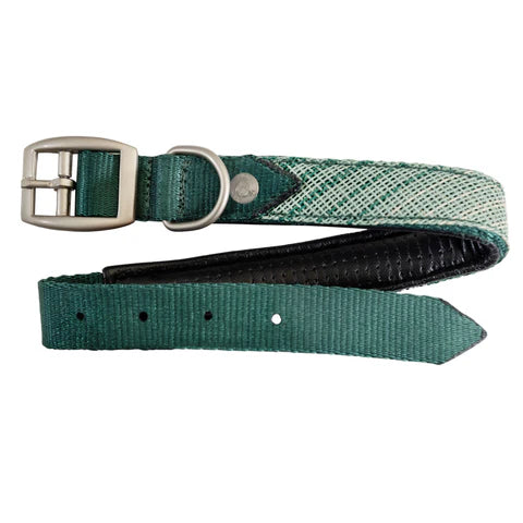 Kensington padded dog collar