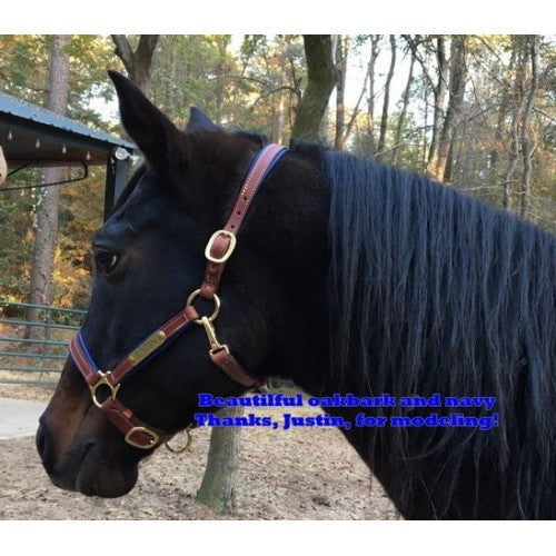 Griffinbrook padded halter for pony/cob/horse in havana with brass