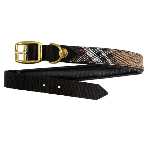 Kensington padded dog collar