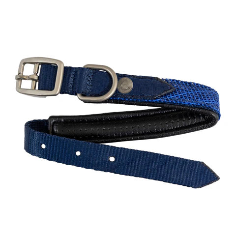 Kensington padded dog collar