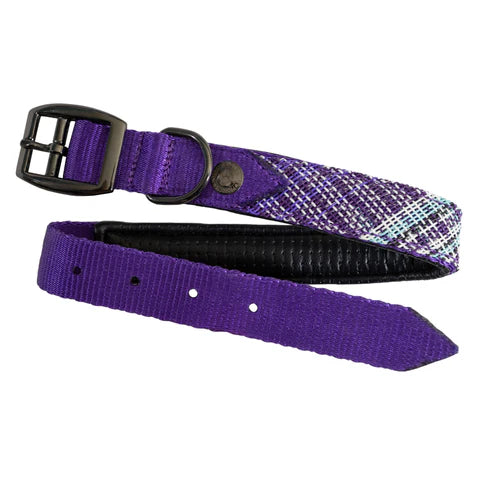 Kensington padded dog collar