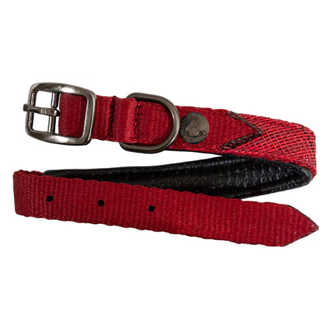 Kensington padded dog collar