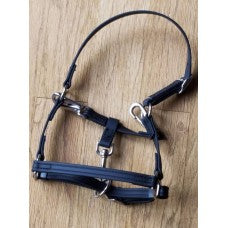 Griffinbrook biothane mini/pony grooming halter